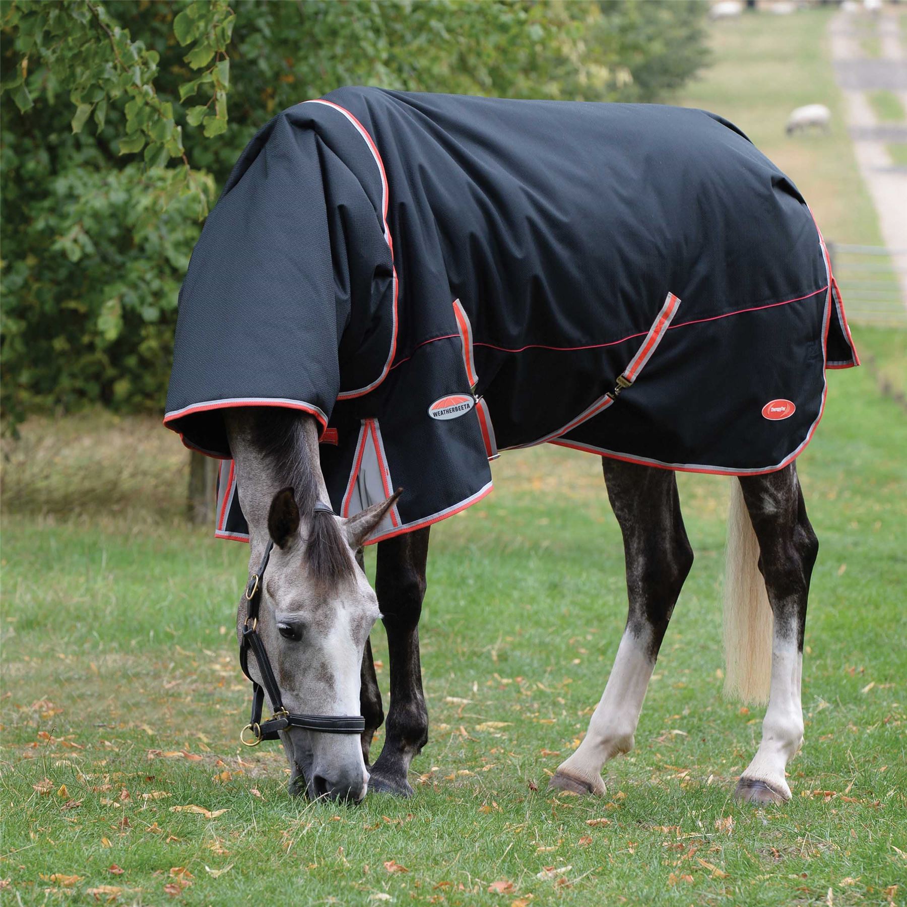 Weatherbeeta Comfitec Premier With Therapy-Tec Detach-A-Neck Lite Plus - Just Horse Riders