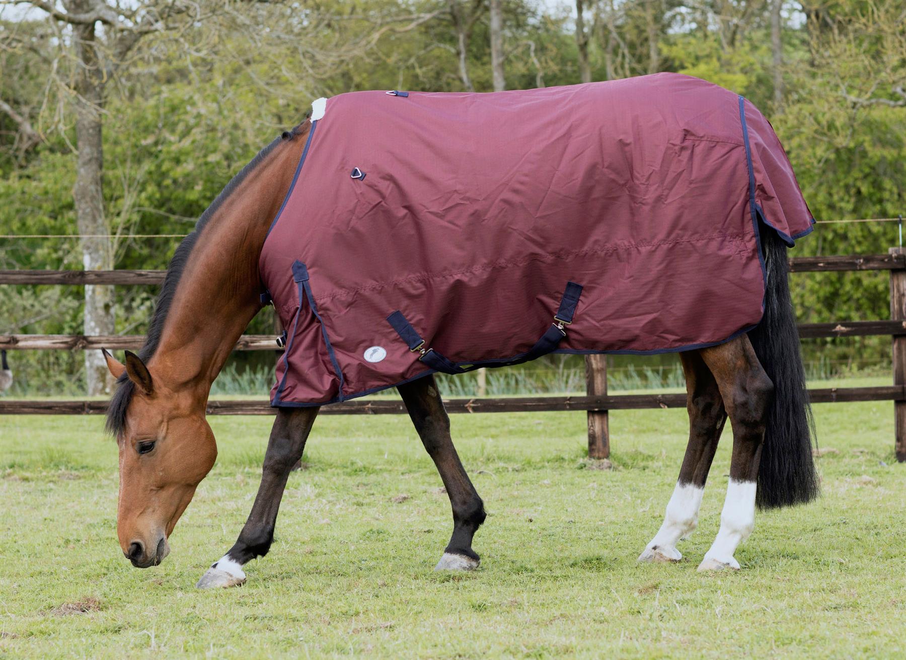 JHL Essential Mediumweight Turnout Rug - Just Horse Riders