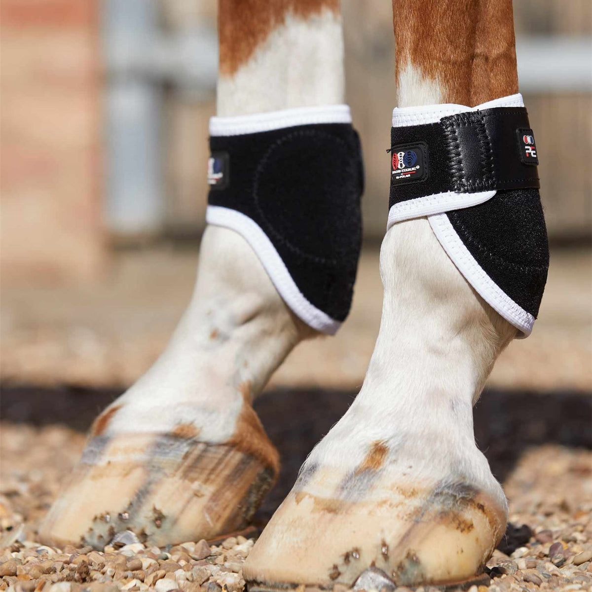 Premier Equine Magnetic Fetlock Boots | Next Day Delivery – Just Horse ...