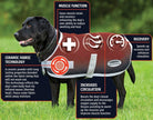 Weatherbeeta Therapy-Tec Dog Coat - Just Horse Riders