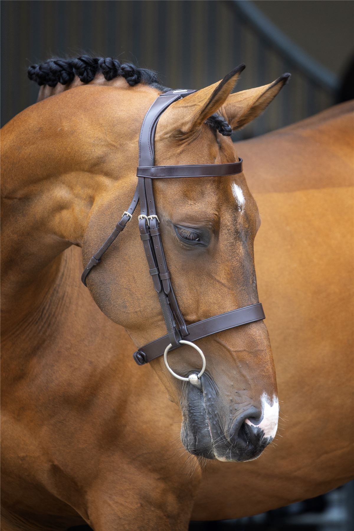 Lusso Hunter Cavesson Bridle - Just Horse Riders