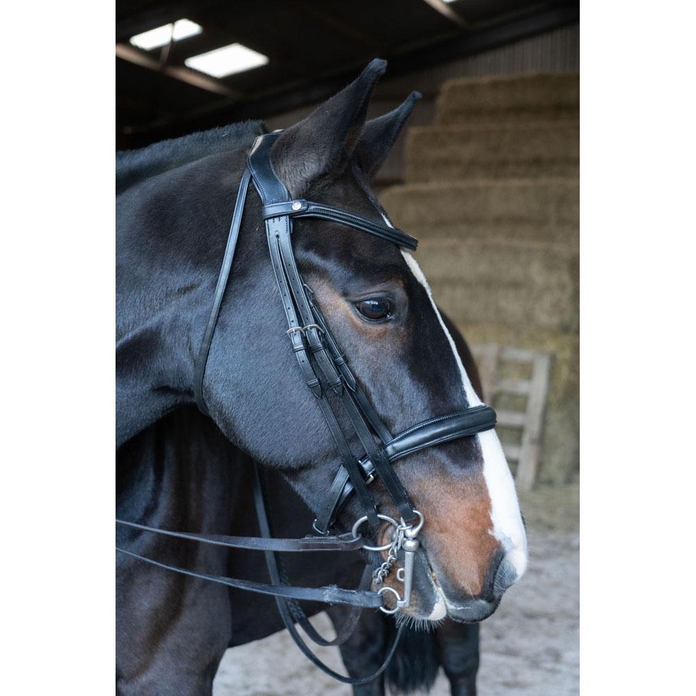 Eco Rider Freedom Double Bridle -Soft Padded Anatomic Headpiece & Elastic Insert - Just Horse Riders