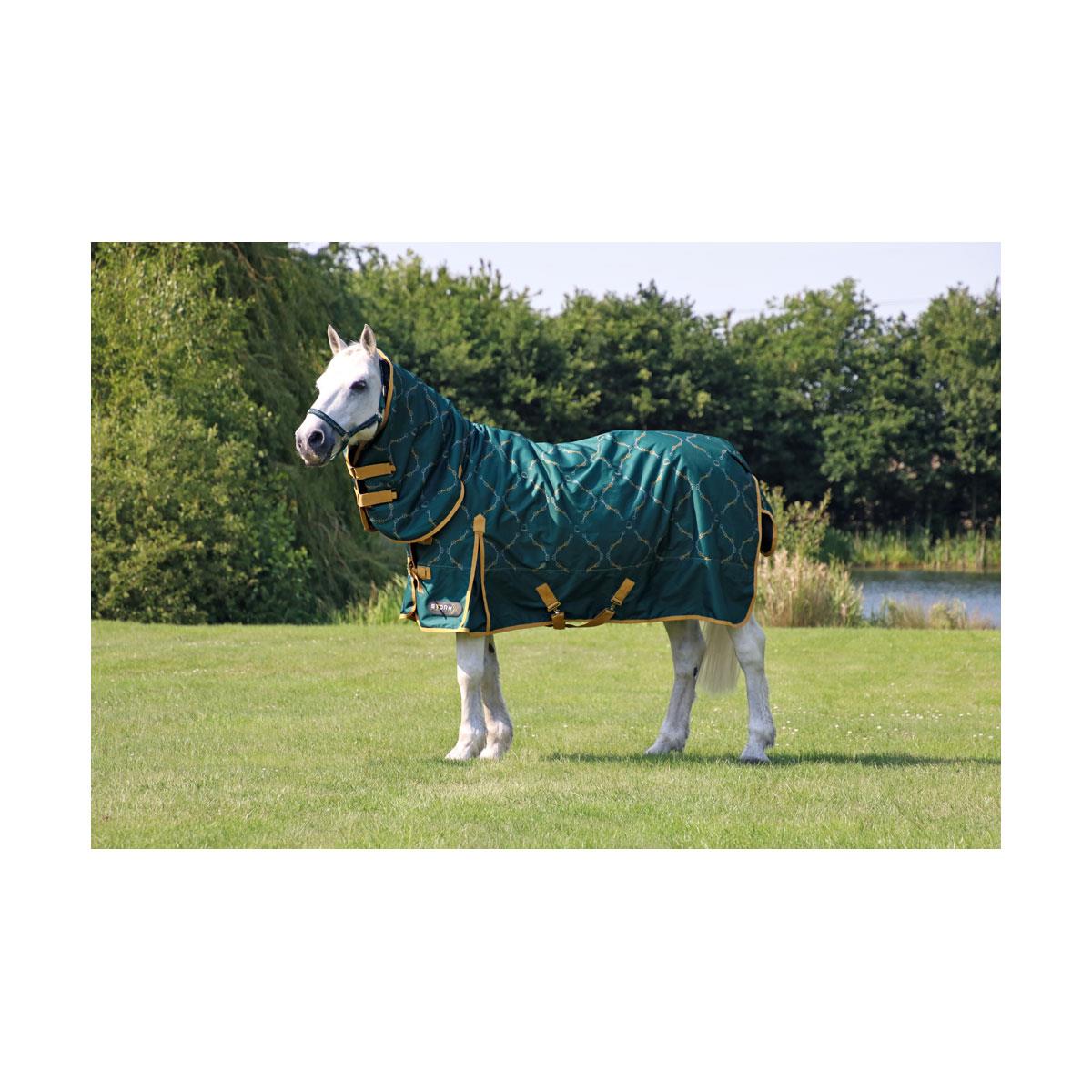 StormX Original Elegant Stirrup & Bit 200 | Fast UK dispatch – Just ...
