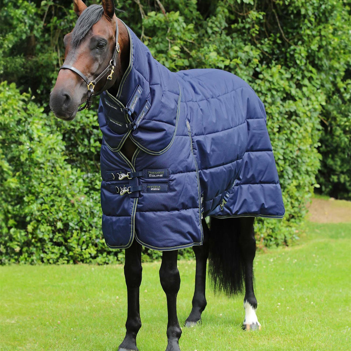 Premier Equine Hydra 350g Stable Rug & | Fast UK dispatch – Just Horse ...