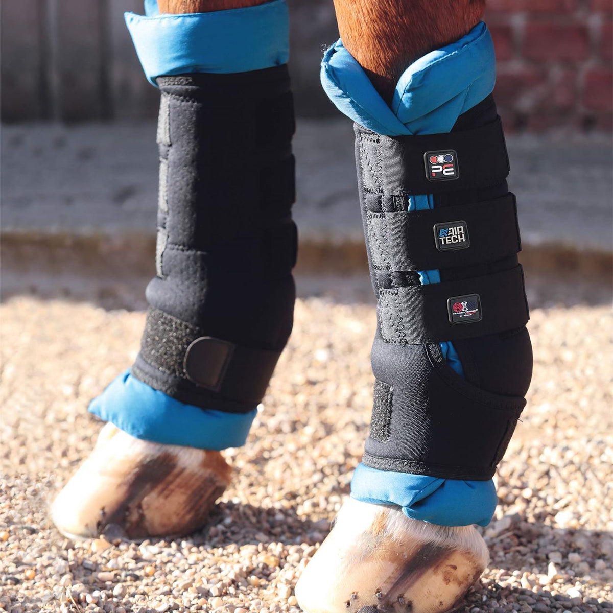 Premier Magni-Teque Magnetic Boot Wraps | Next Day Delivery – Just ...