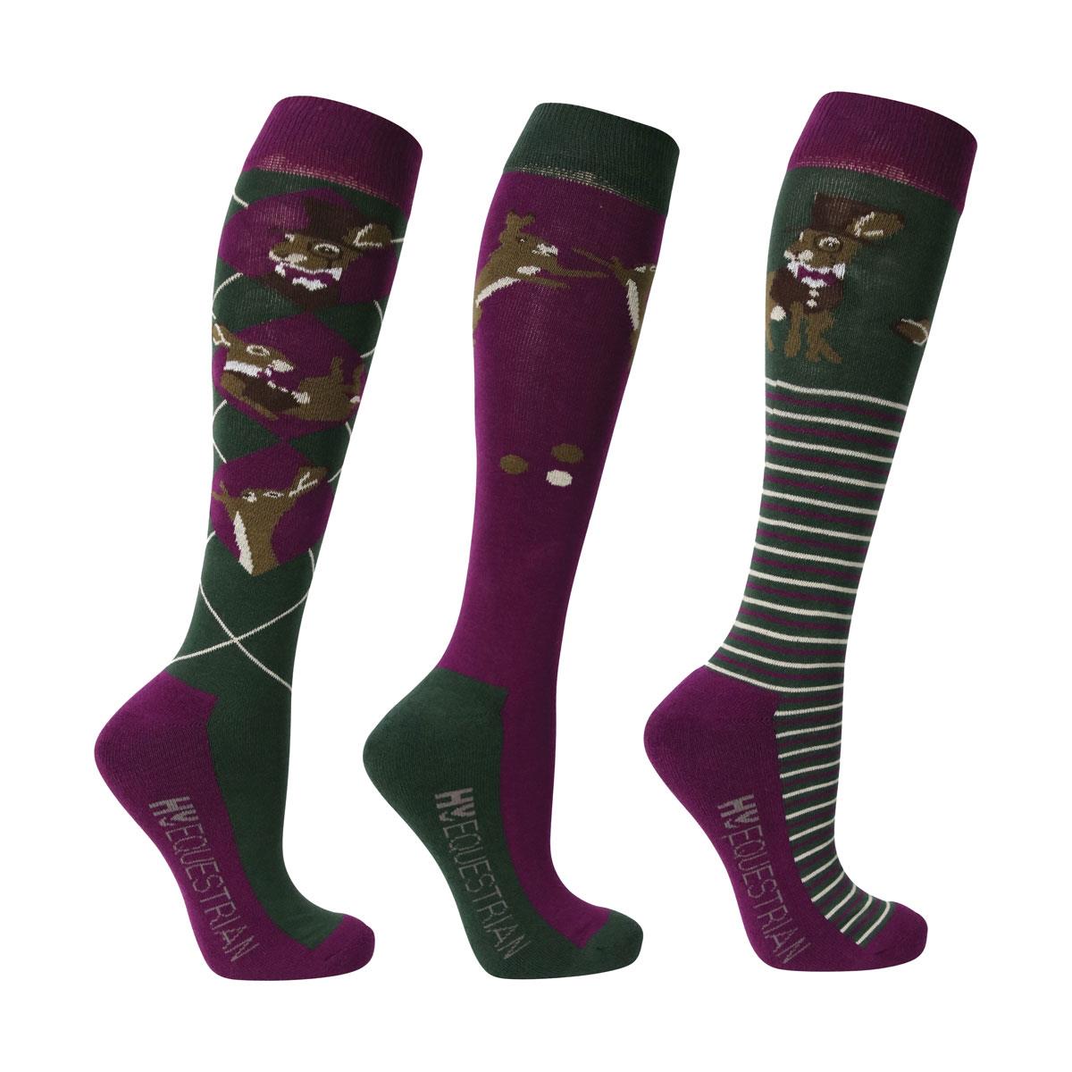 Hy Equestrian Harrison the Hare Horse Riding Socks (Pack of 3) - Just Horse Riders