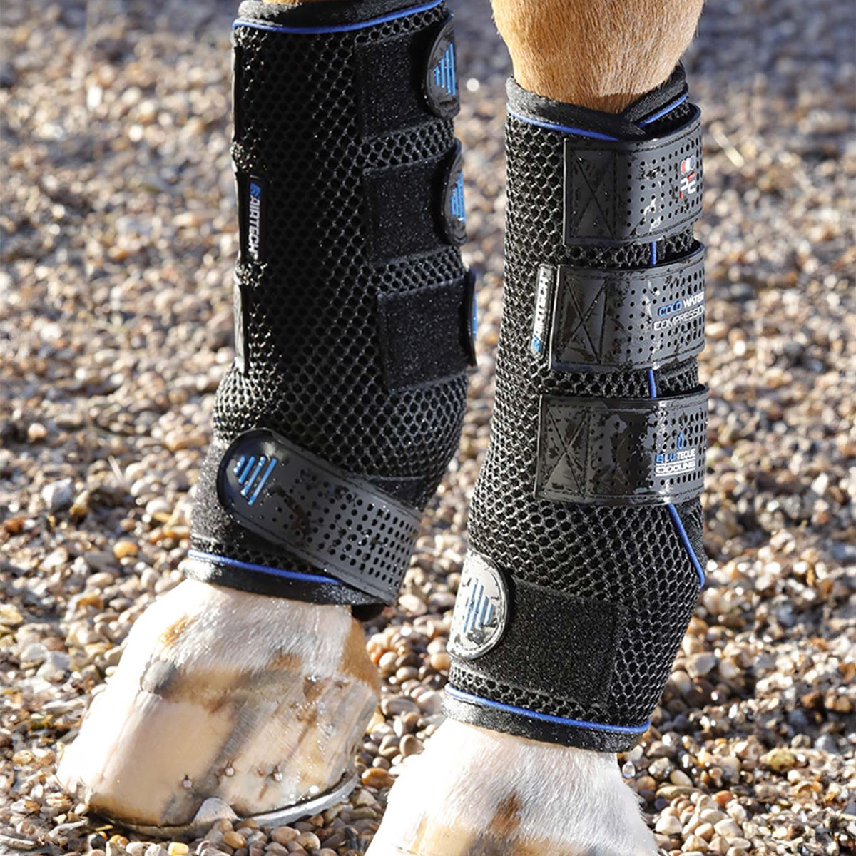 Premier Equine Cold Water Compression | Next Day Delivery – Just Horse ...