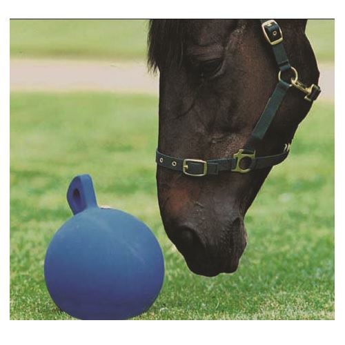 Roma Horse Play Ball - Just Horse Riders
