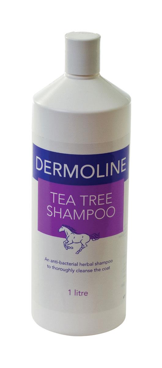 Dermoline Tea Tree Shampoo - Just Horse Riders