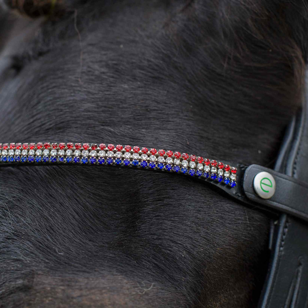 Eco Rider Freedom Victoria Browband-Ruby Diamante & Sapphire for Elegant Look - Just Horse Riders