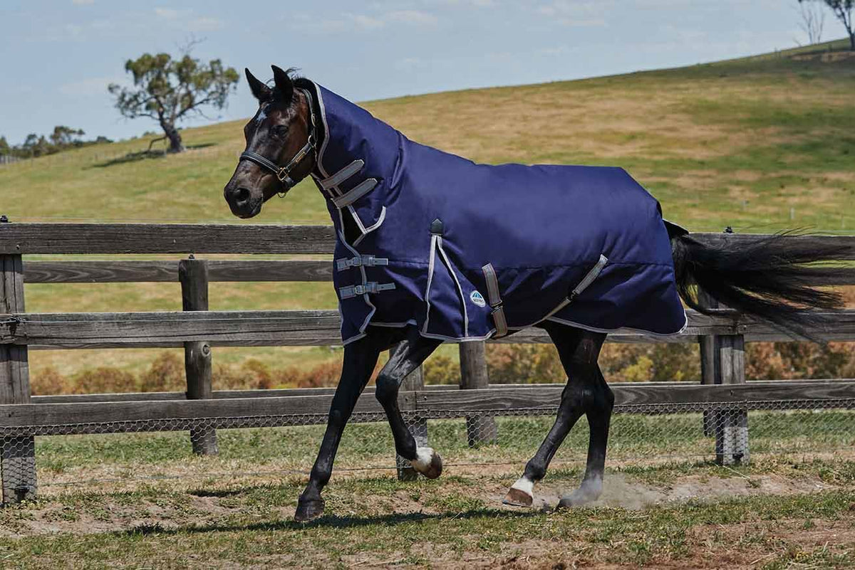Weatherbeeta Comfitec Combo Neck Heavy | Next Day Delivery – Just Horse ...