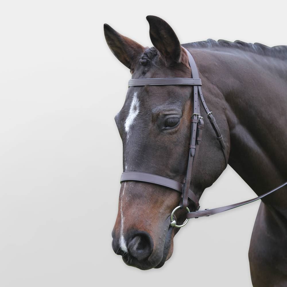 Kincade Hunt Cavesson Bridle - Just Horse Riders