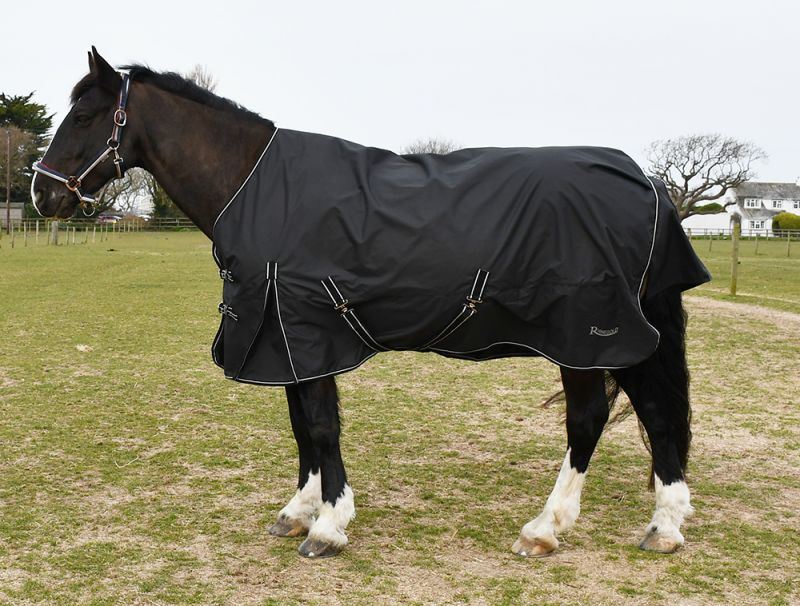 Rhinegold Capri 100gsm Outdoor Rug | Next Day Delivery – Just Horse Riders