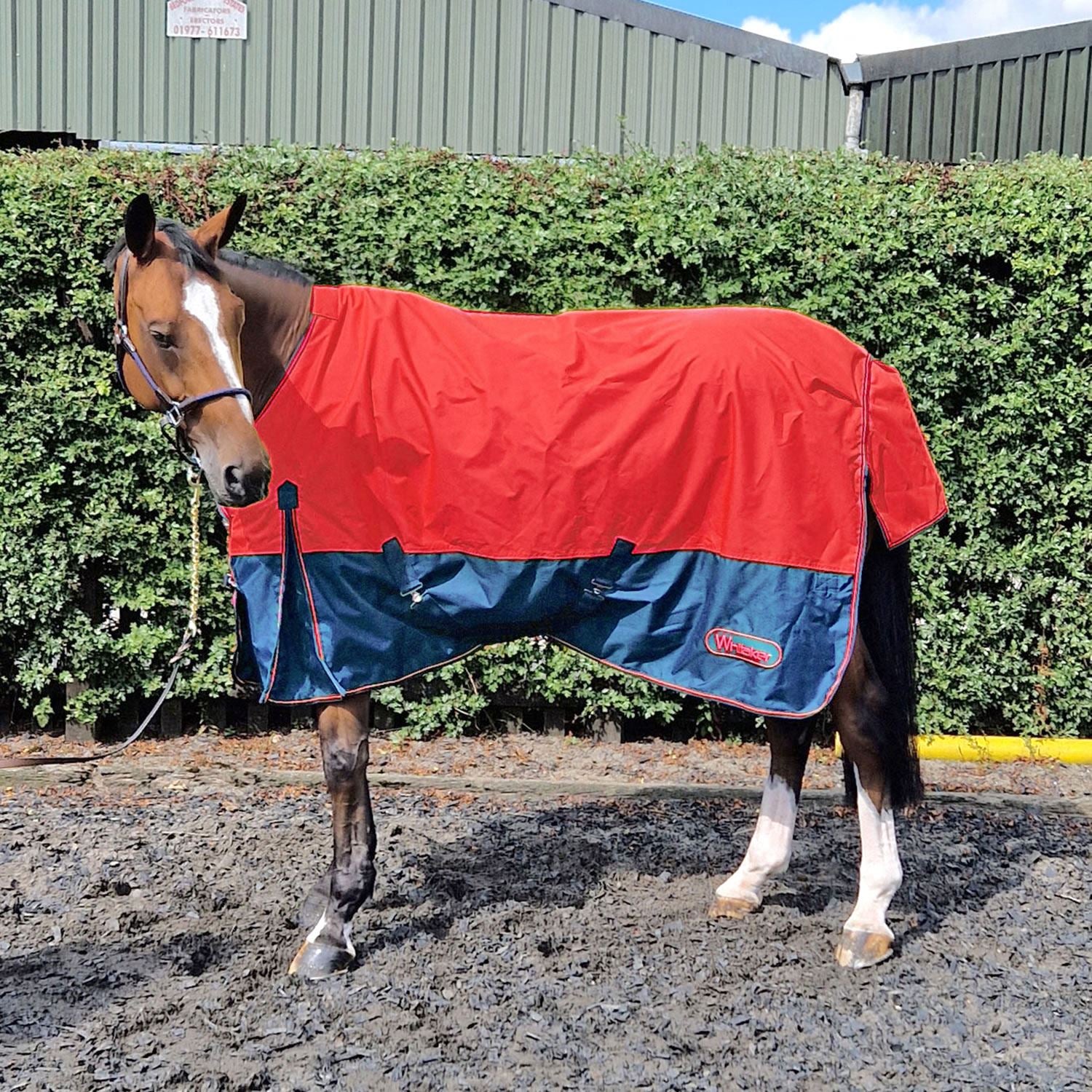 Whitaker Rudston Turnout Rug 50Gm - Just Horse Riders