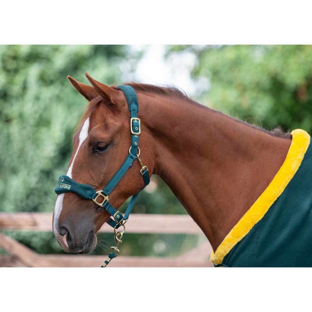 Cameo Elite Headcollar & Leadrope - Soft Padded Comfort, No Rust Silver Fittings - Just Horse Riders
