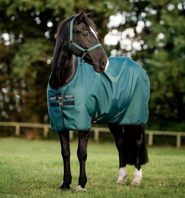 Horseware Amigo Ripstop 900D Pony Turnout 200G – Just Horse Riders