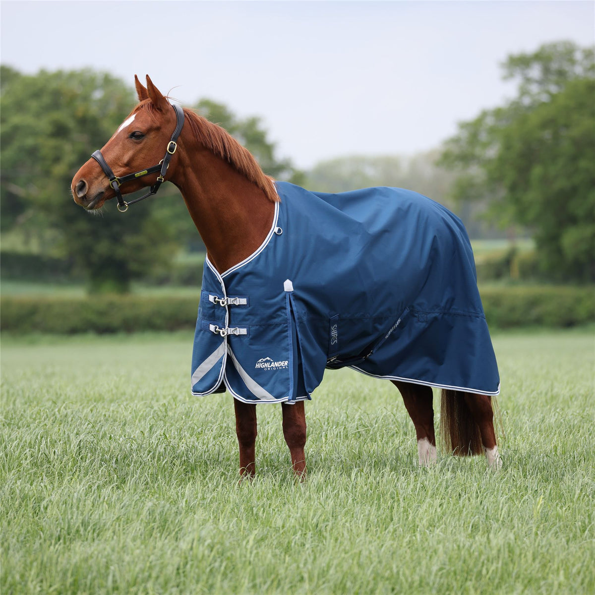 Highlander 200g Turnout Rug | Waterproof | Just Horse Riders