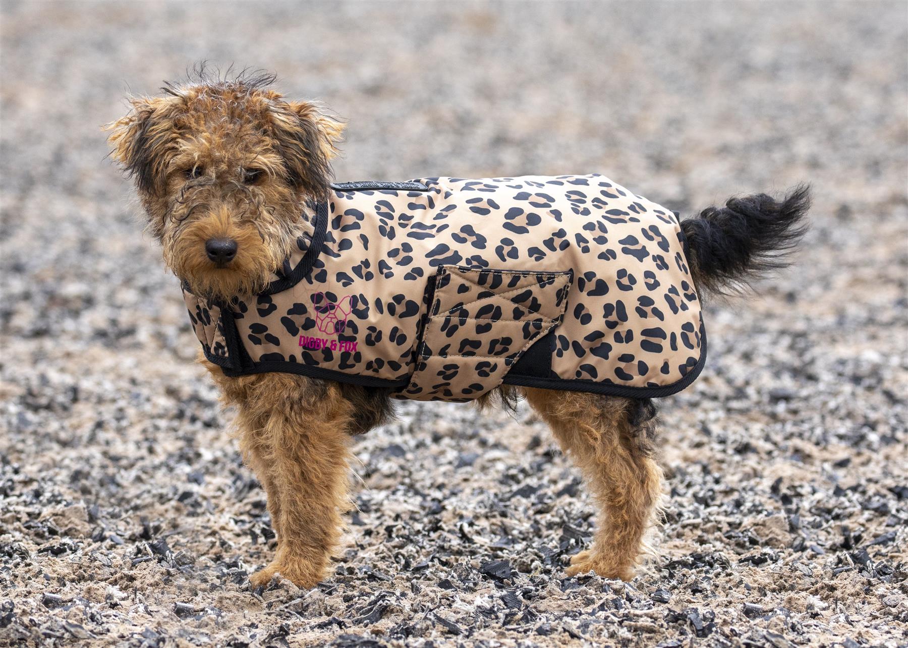 Digby & Fox Leopard Print Dog Coat - Just Horse Riders