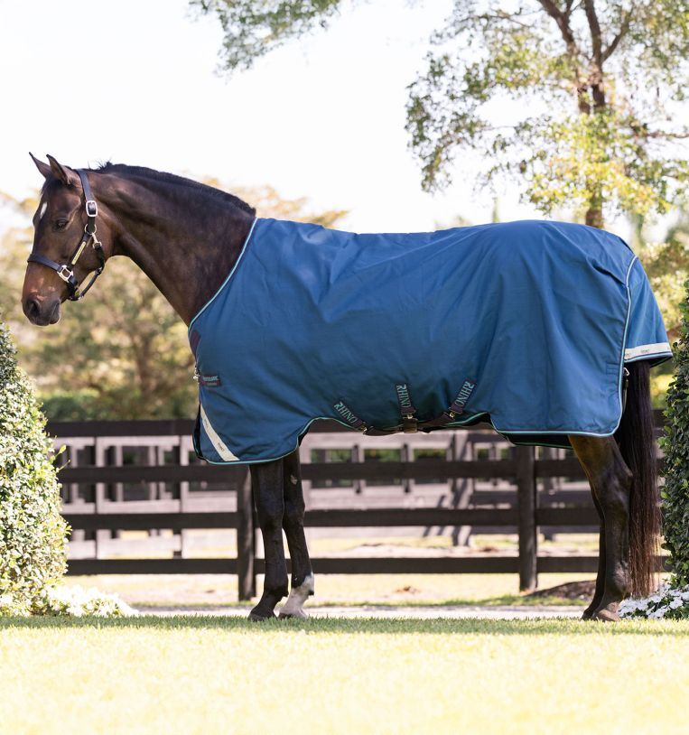 Rhino Turnout 100G Rug | Fast UK dispatch – Just Horse Riders