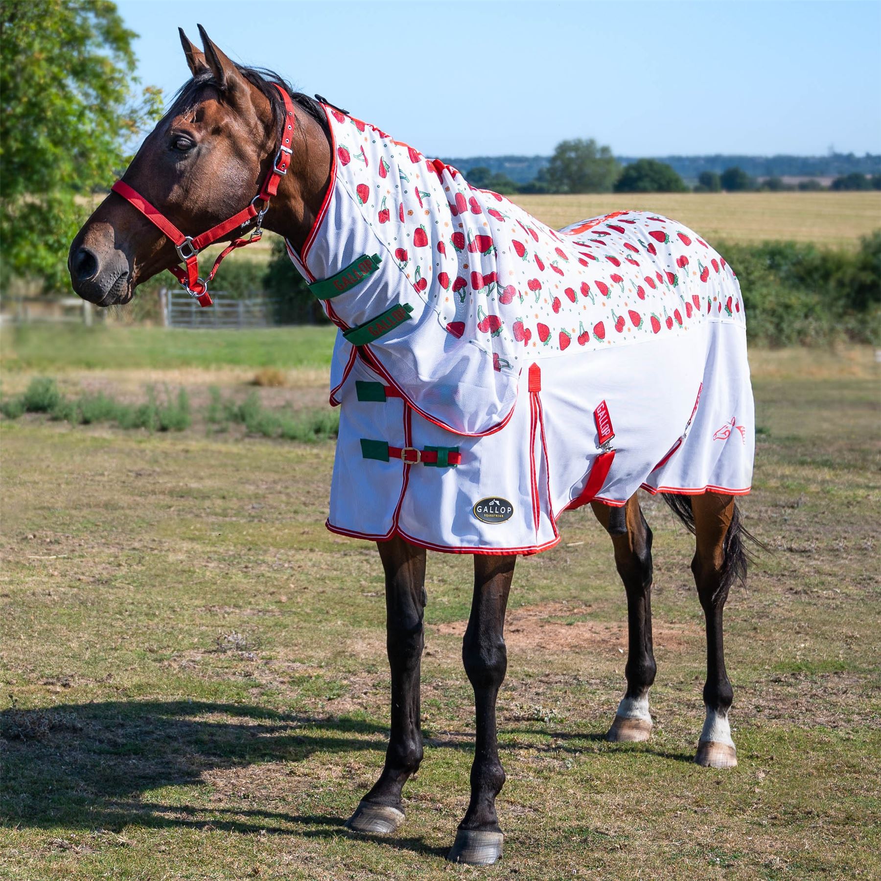 Gallop Equestrian Berries & Cherries Combo Fly Rug - Just Horse Riders