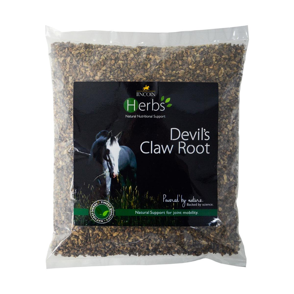 Lincoln Devils Claw Root for Enhanced Joint Comfort