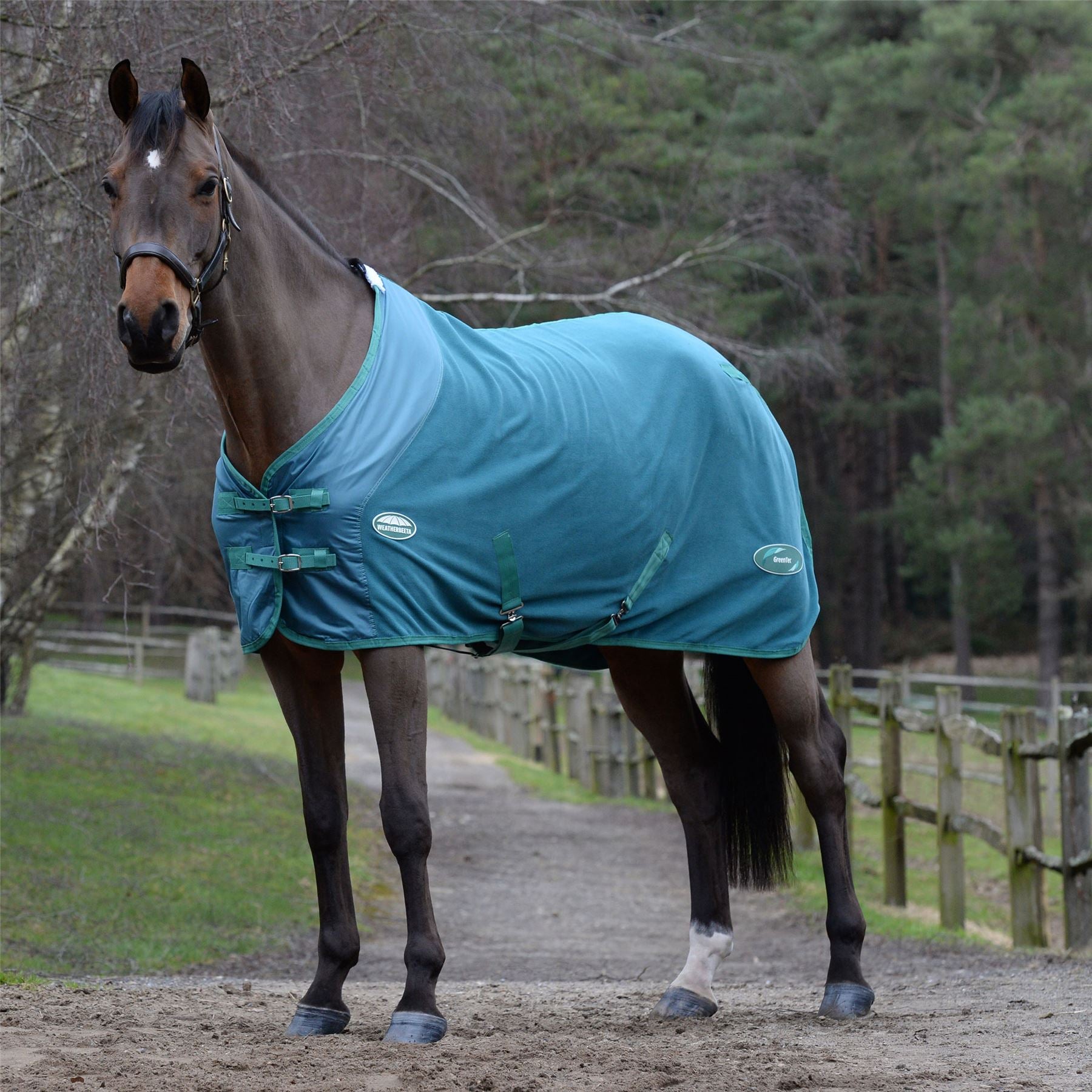 Weatherbeeta Green-Tec Fleece Cooler Standard Neck - Just Horse Riders