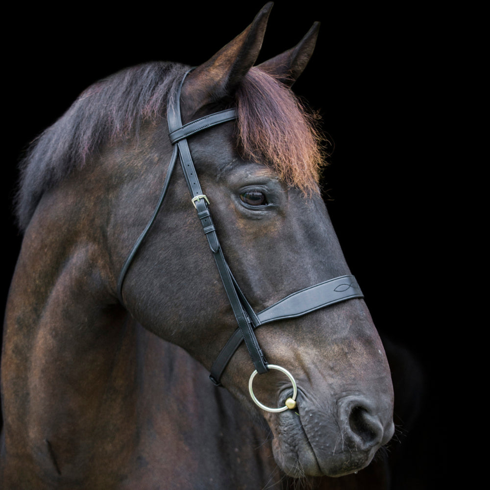 Ecorider Classic Show Bridle - Broad Noseband, Adjustable Cheekpieces - Just Horse Riders