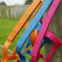 Foal & Youngster Essentials