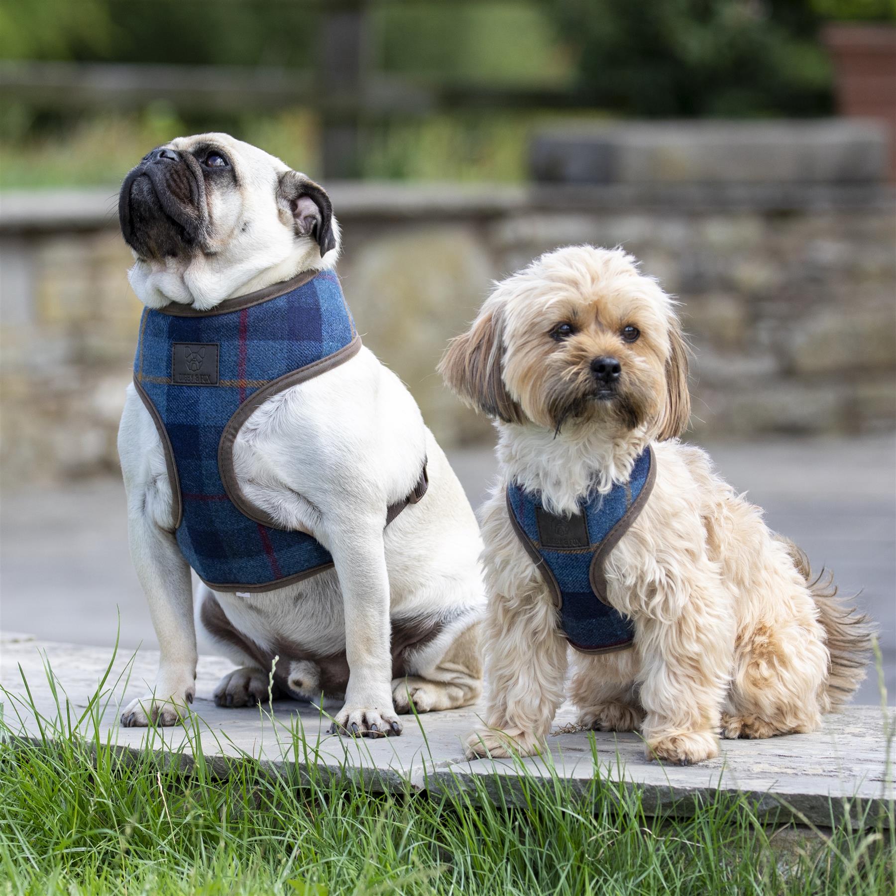 Digby & Fox Tweed Dog Harness - Just Horse Riders