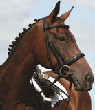 Collegiate Syntovia+ Padded Raised Cavesson Bridle - Just Horse Riders