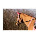 Hy Equestrian Reflector Martingale By Hy Equestrian - Just Horse Riders