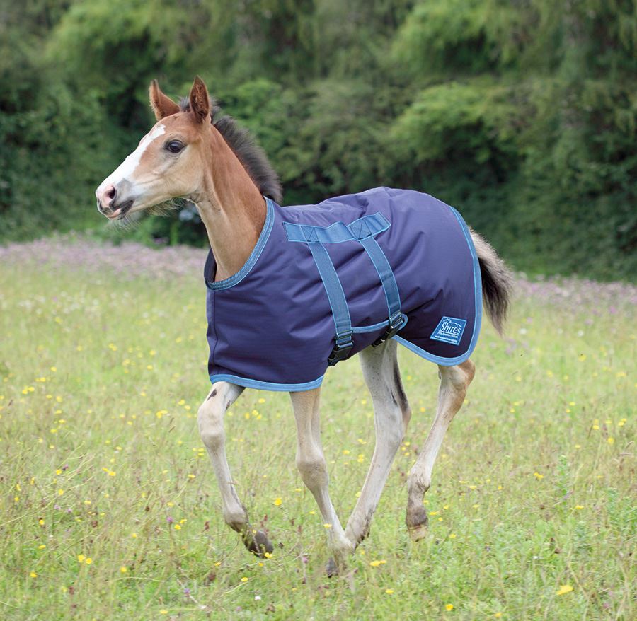 Shires Highlander Foal Rug | Next Day Delivery | Waterproof – Just ...