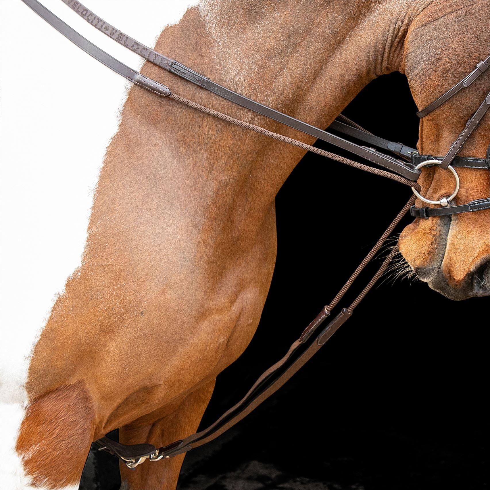 Velociti Gara Elasticated Draw Reins - Just Horse Riders