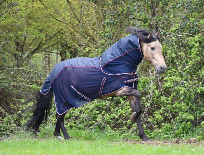 Rhinegold Mombasa Fly Rug + Neck Cover - Just Horse Riders