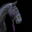 Cameo Equine Core Headcollar & Rope: For Everyday Use with Soft Neoprene Lining - Just Horse Riders
