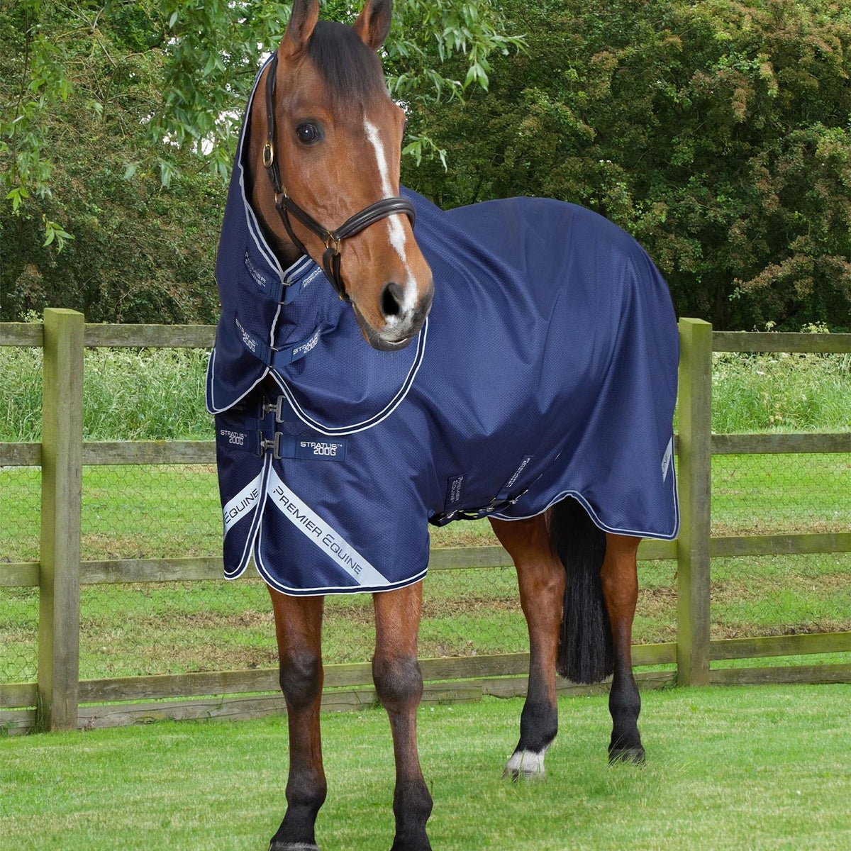 Premier Equine Stratus 600D Series 200g Turnout Rug with Classic Neck ...