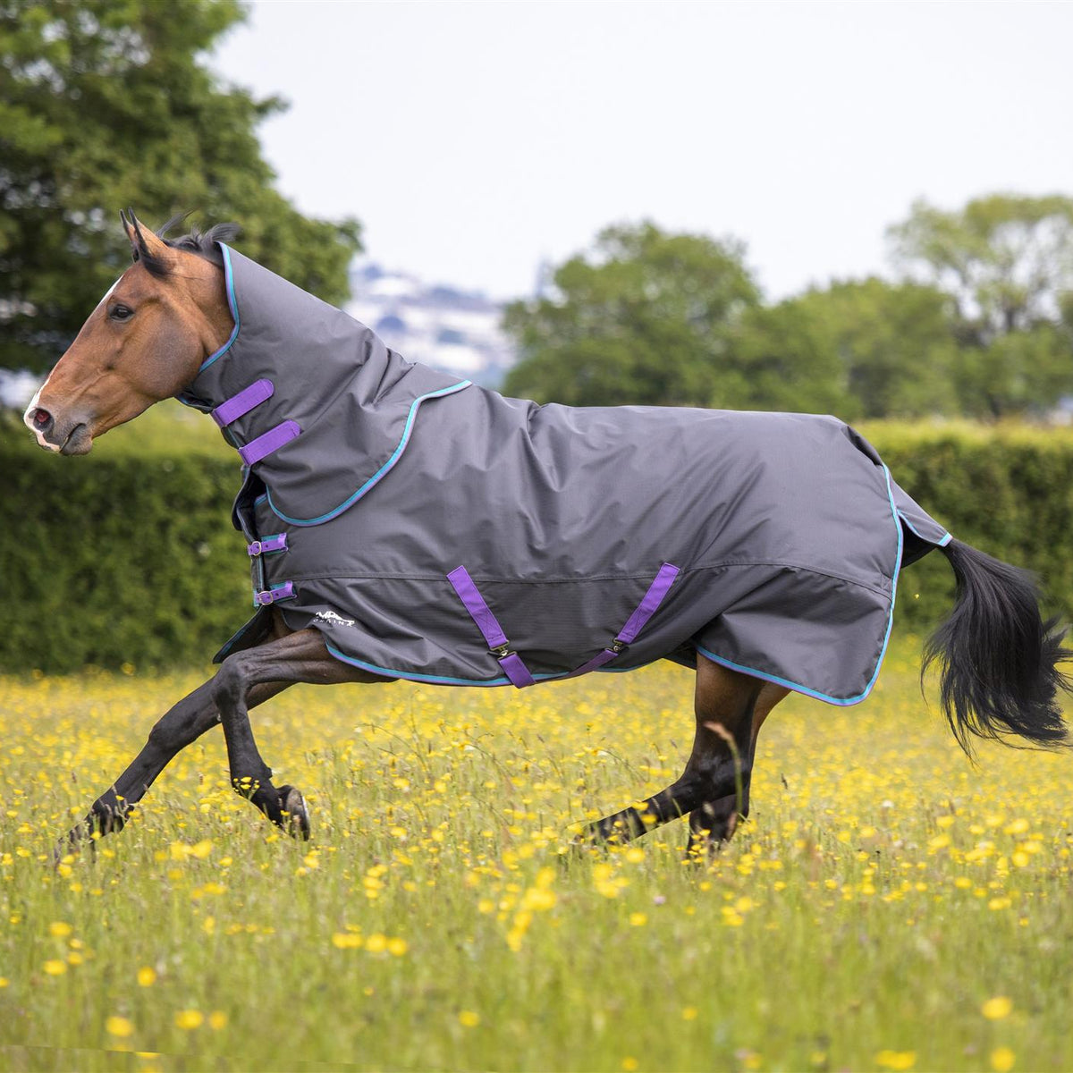 Tempest Original 300 Turnout Rug & Neck | Next Day Delivery – Just ...