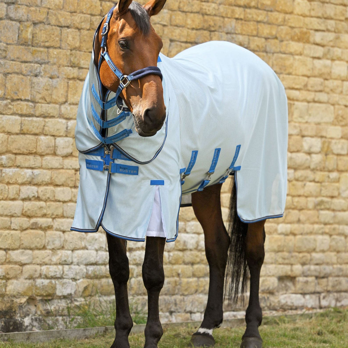 Premier Equine Bug Buster Fly Rug Combo | Fast UK dispatch – Just Horse ...