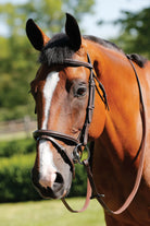 JHL Bridle Flash - Just Horse Riders