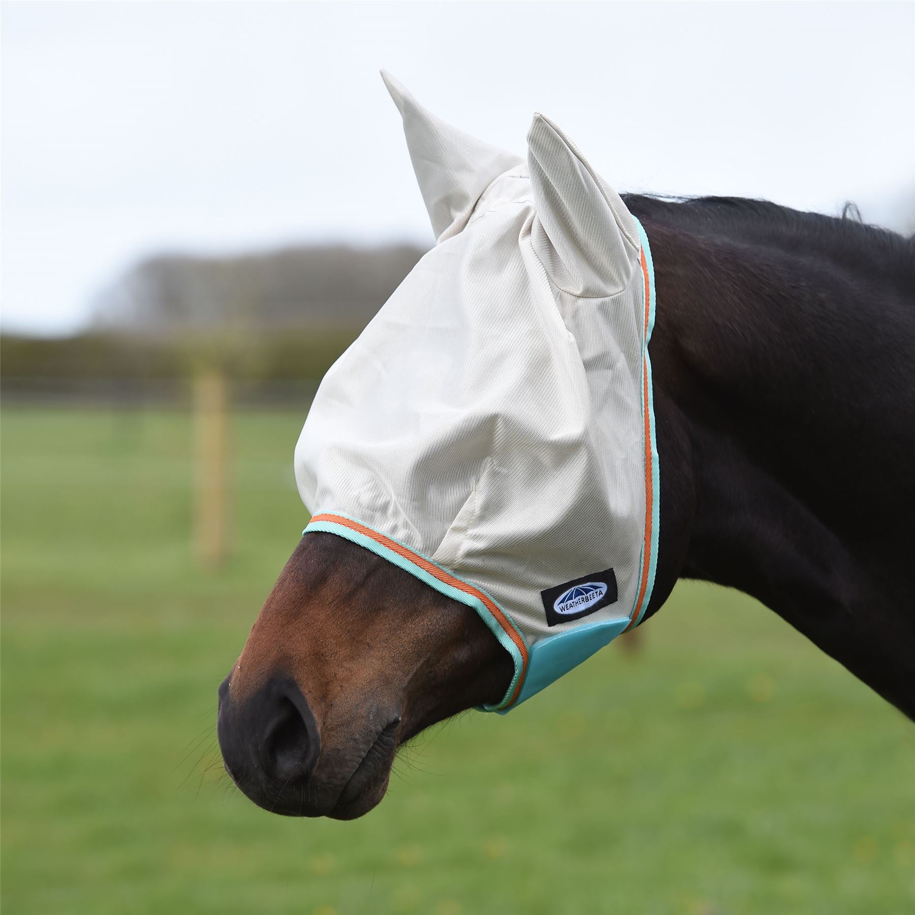 Weatherbeeta Comfitec Essential Mesh Mask - Just Horse Riders