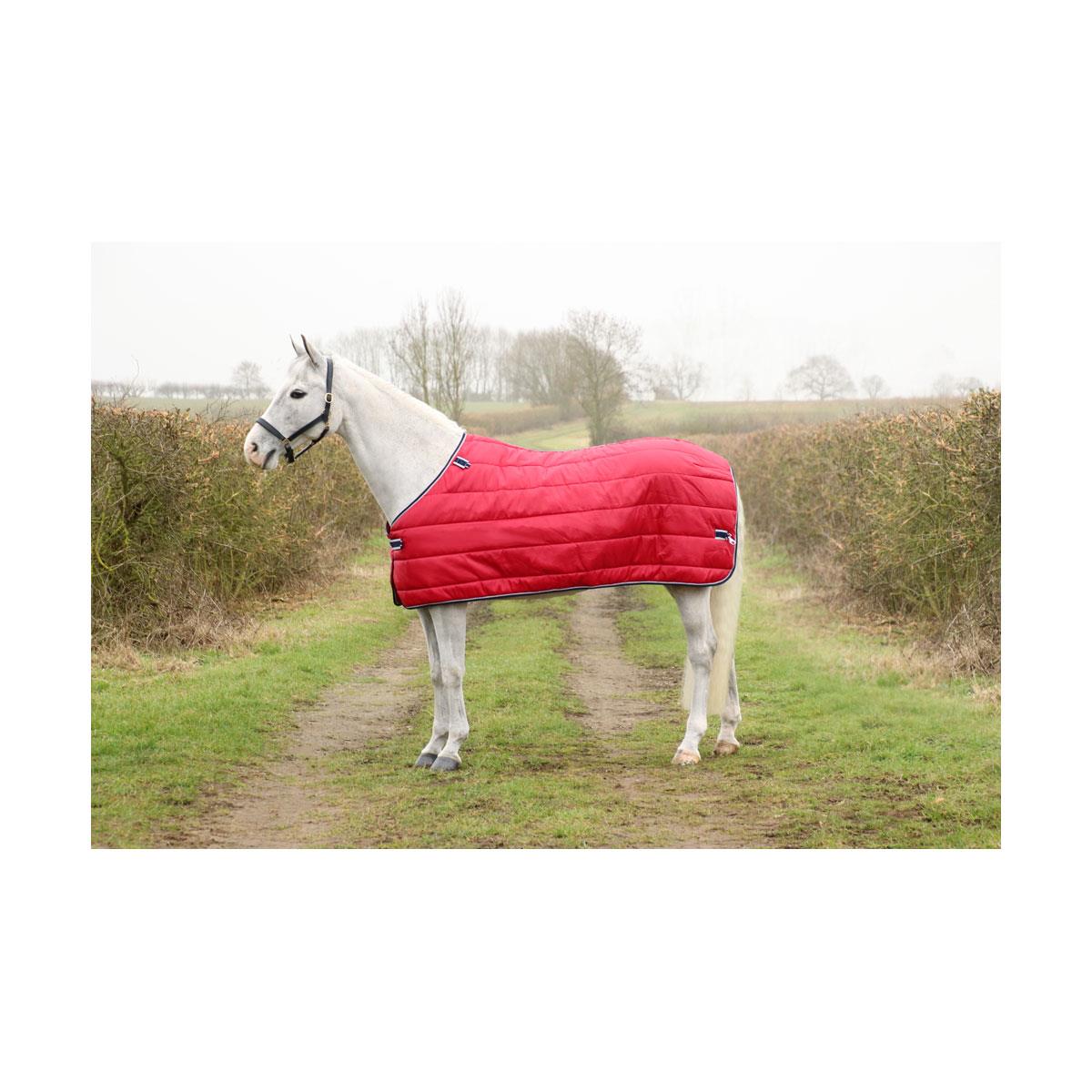 DefenceX System 450 Turnout Rug 3 in 1 - Just Horse Riders
