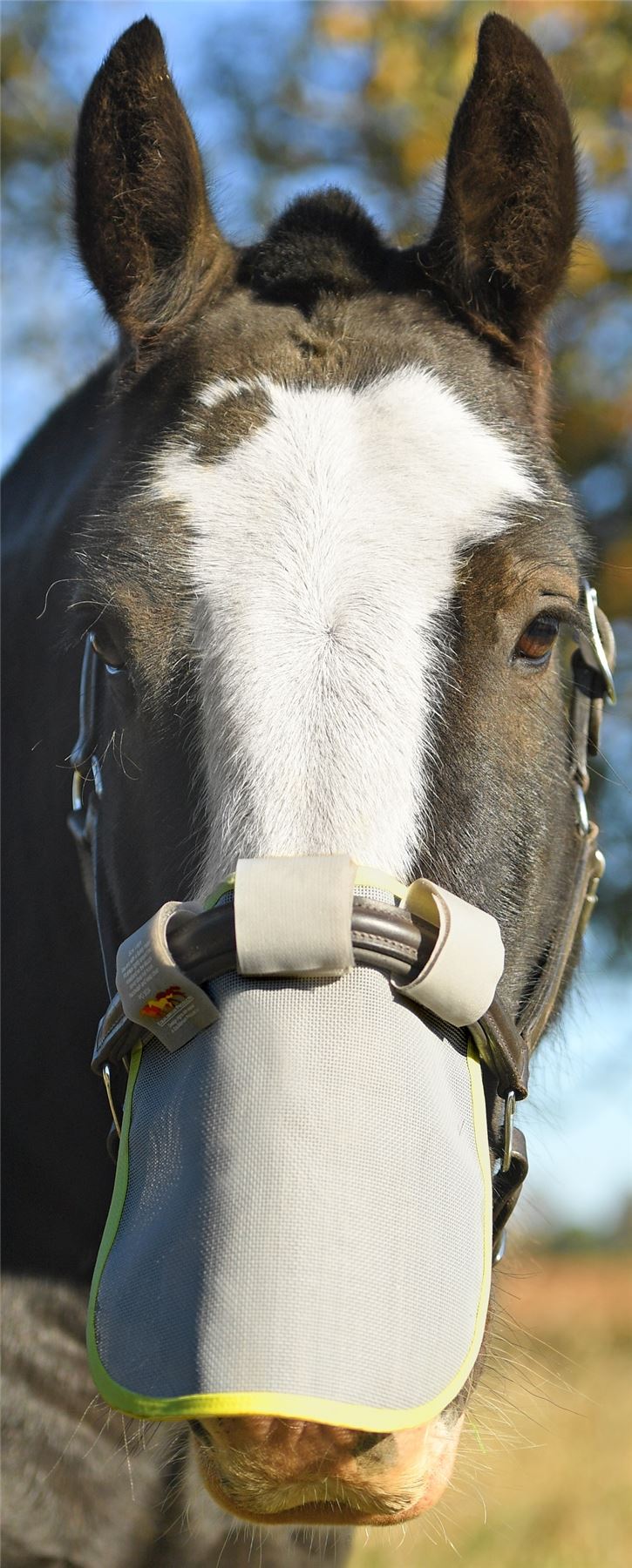 Equilibrium Field Relief Muzzle Protector - Just Horse Riders