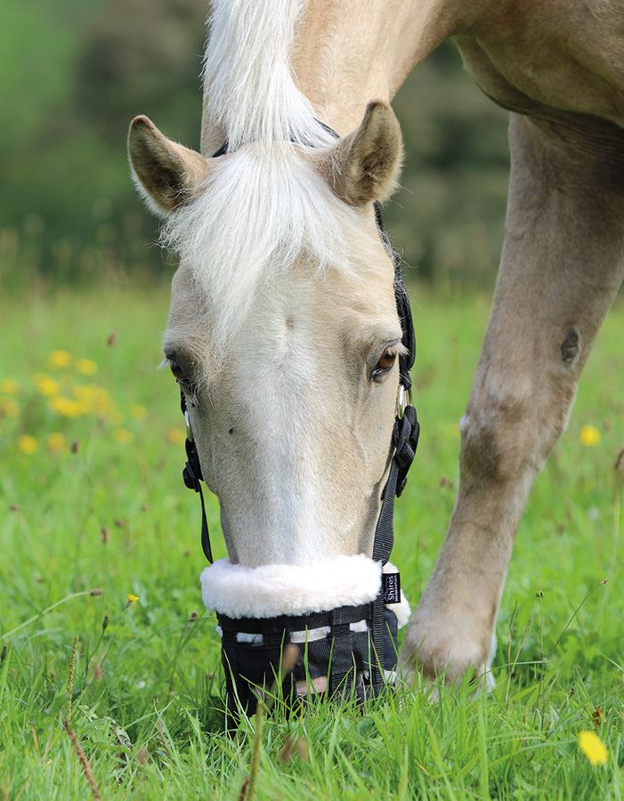 Shires Deluxe Comfort Grazing Muzzle - Just Horse Riders