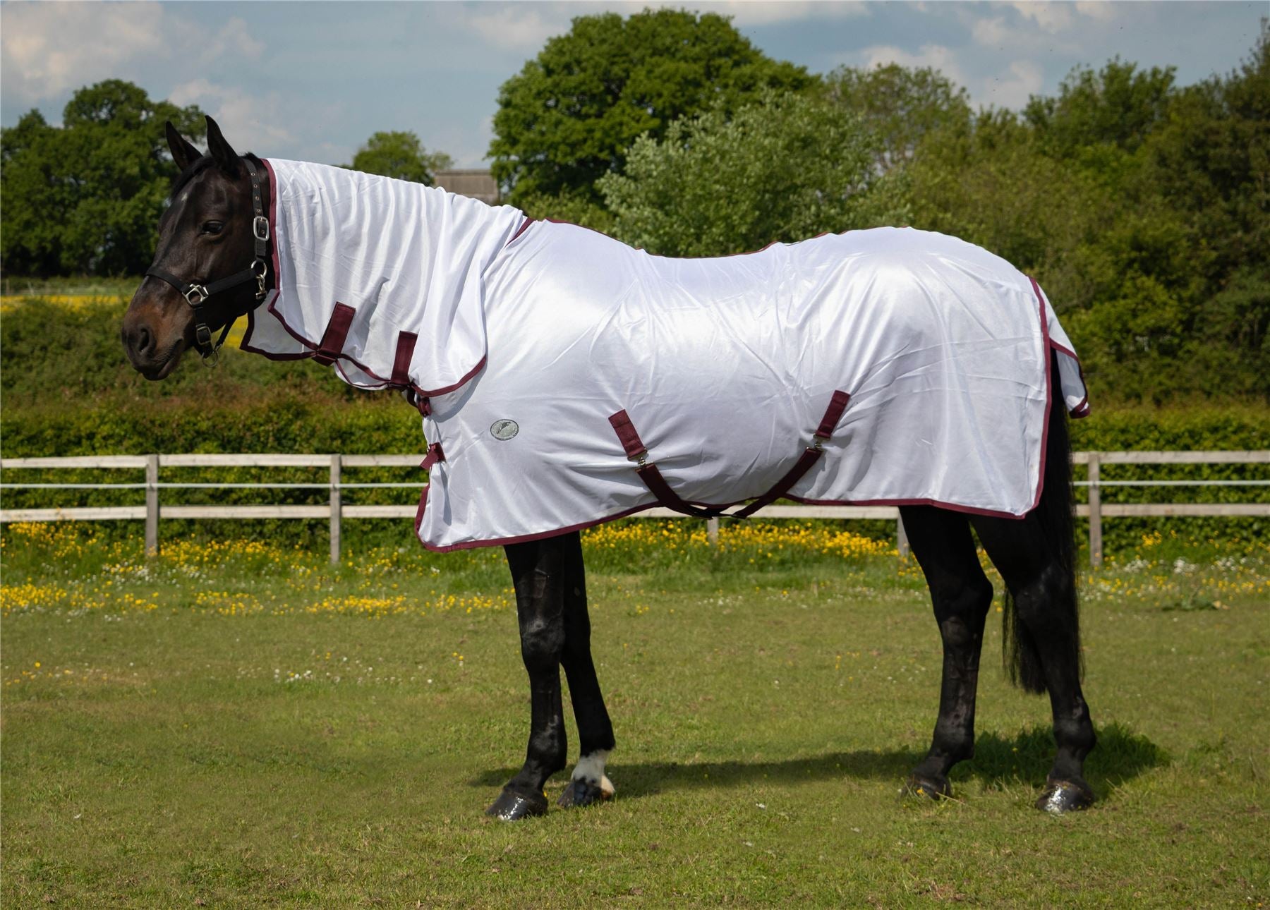 JHL Essential Combo Fly Rug - Just Horse Riders