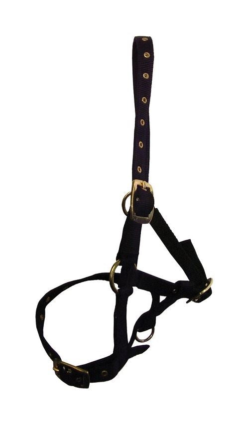 Hy Foal Head Collar - Just Horse Riders