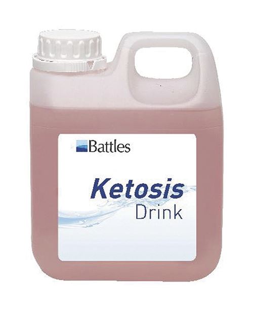 Battles Ketosis Drench - Just Horse Riders