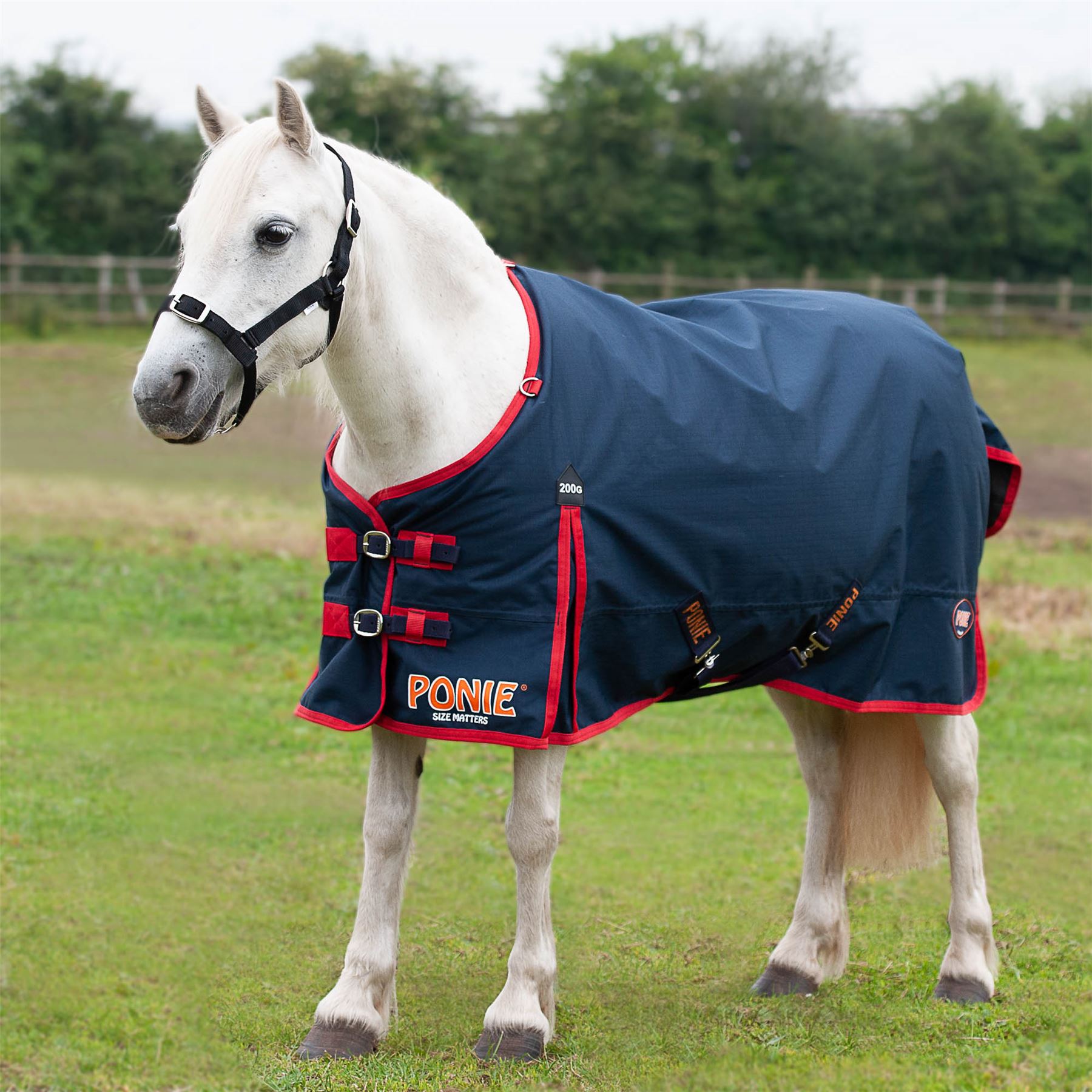 Gallop Equestrian Ponie 200 Standard Turnout Rug - Just Horse Riders