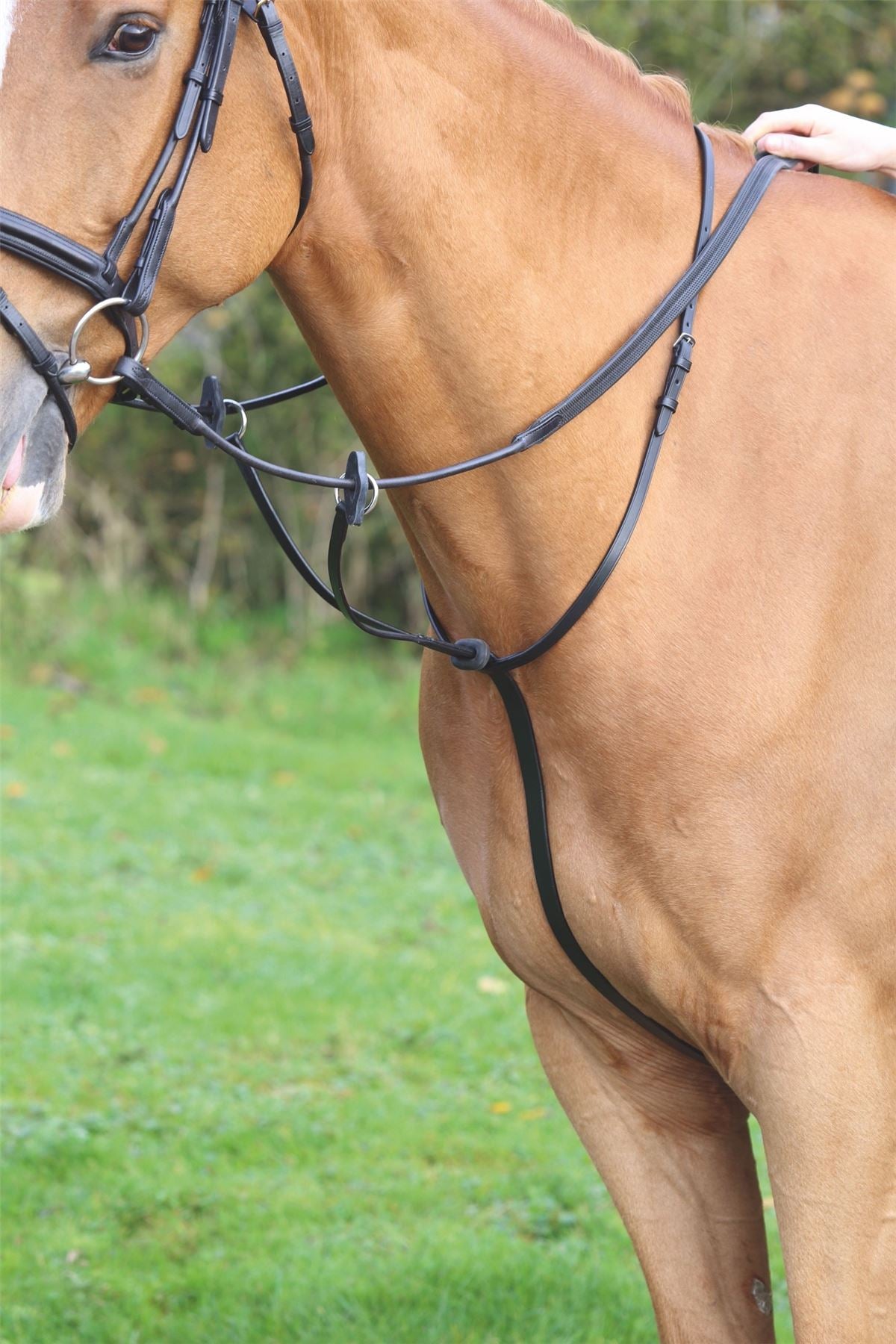 Shires Aviemore Running Martingale - Just Horse Riders