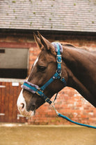 Mark Todd Fleece Lined Headcollar With Lead Rope - Just Horse Riders