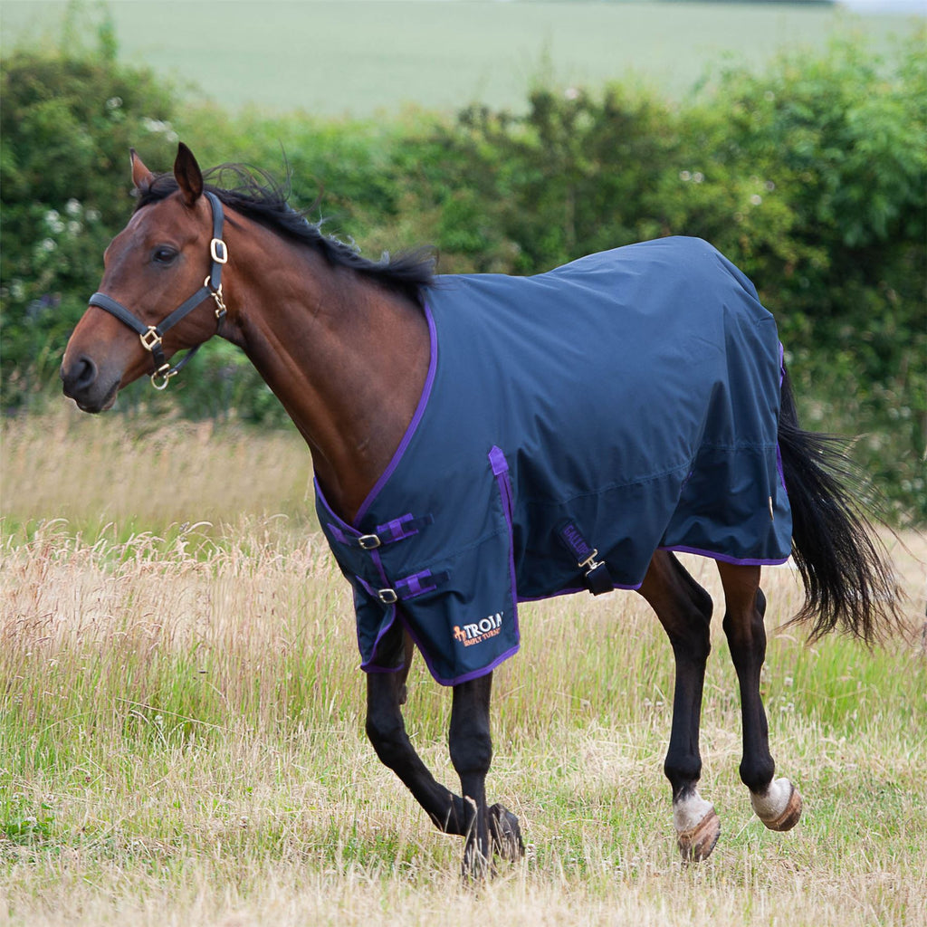Gallop Equestrian Trojan Light Weight Turnout Rug - Just Horse Riders